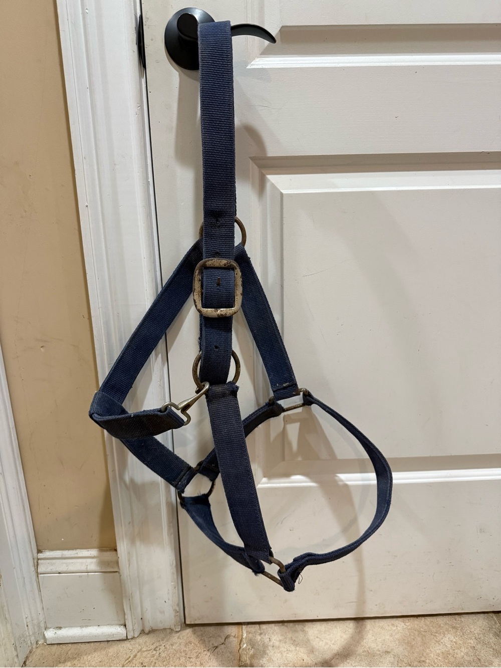 DRAFT / XL oversized Navy Adjustable Horse Halter Used - see description